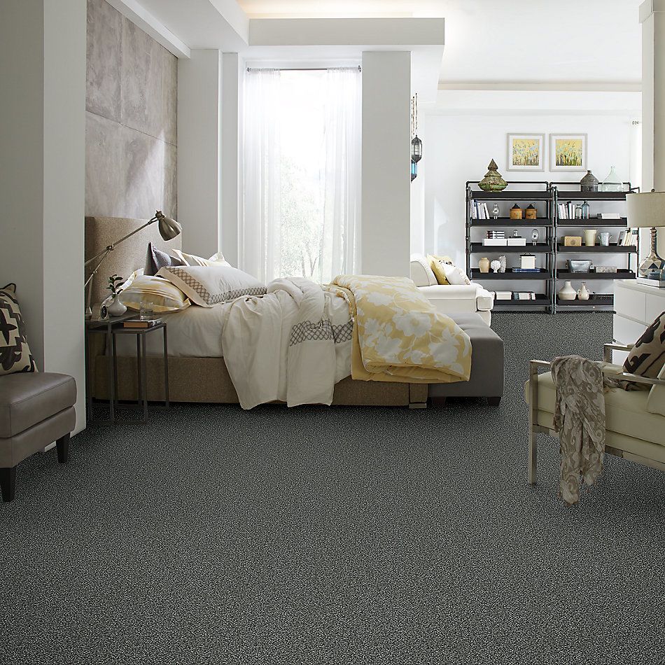 Shaw Floors Value Collections Accents For Sure 12′ Smokey Shimmer 00502_E9908