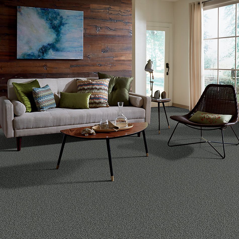 Shaw Floors Value Collections Accents For Sure 15′ Smokey Shimmer 00502_E9923