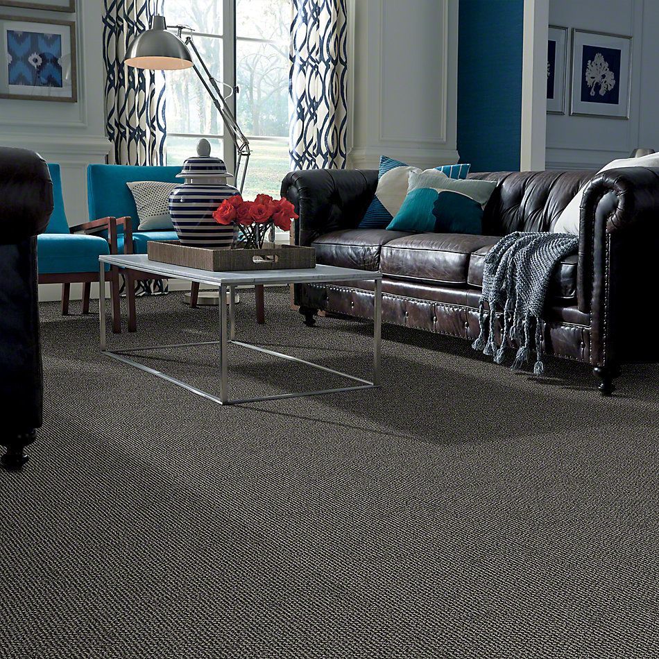 Shaw Floors Simply The Best Striking Yet Iron 00502_EA687