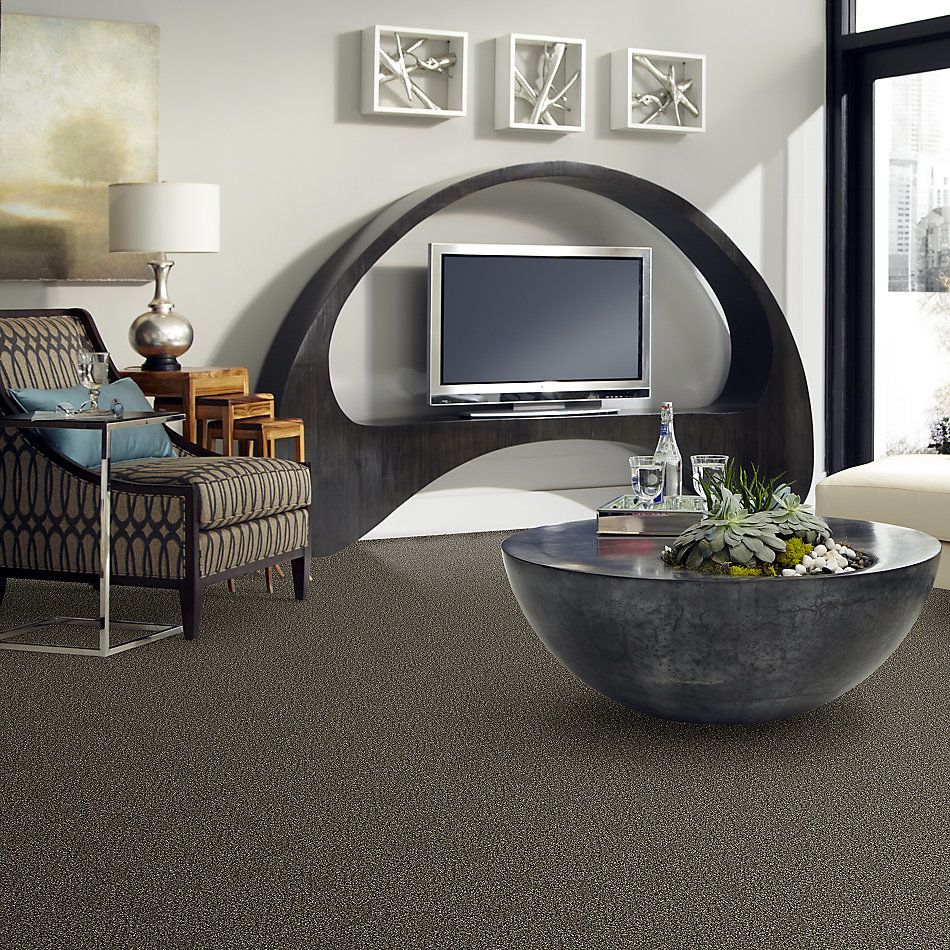 Shaw Floors Value Collections Nature Essence Net Fossil 00502_EA723