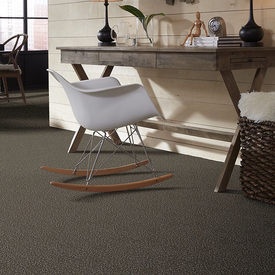 Shaw Floors Value Collections Nature Essence Net Fossil 00502_EA723