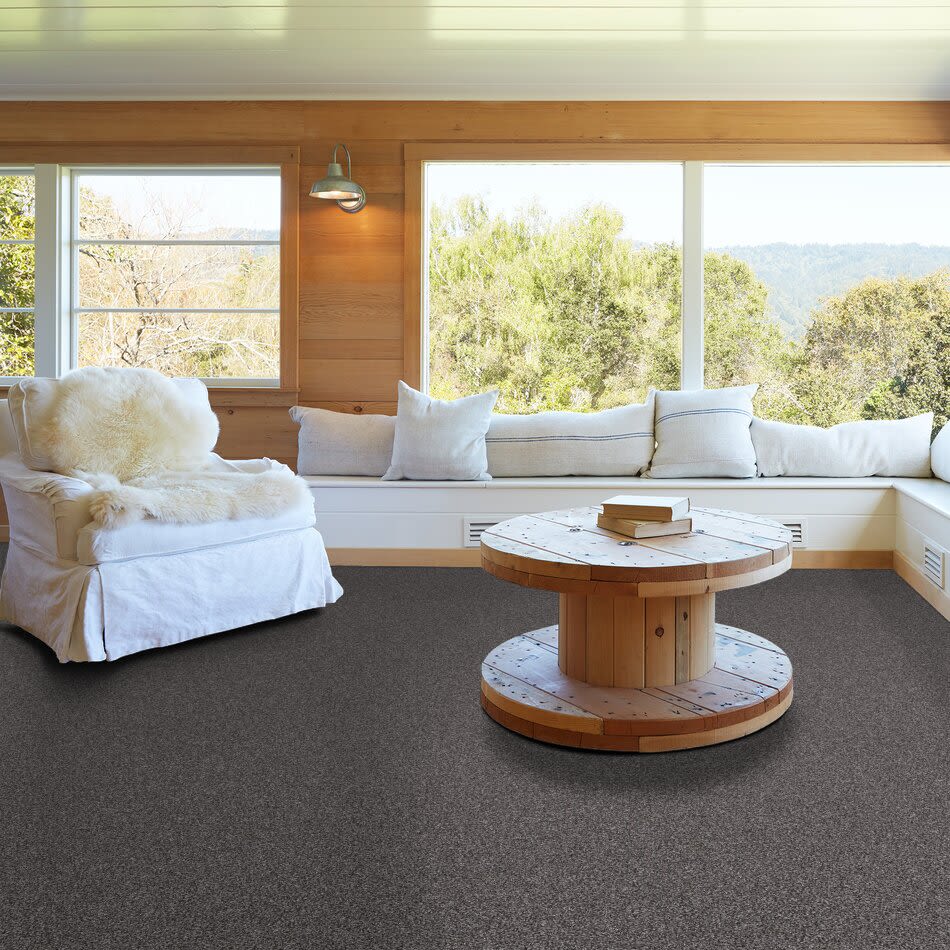 Shaw Floors Value Collections Xy145 12′ Net Smokey Shimmer 00502_XY145