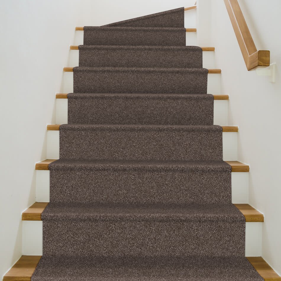 Shaw Floors Value Collections Xy194 Mushroom 00502_XY194