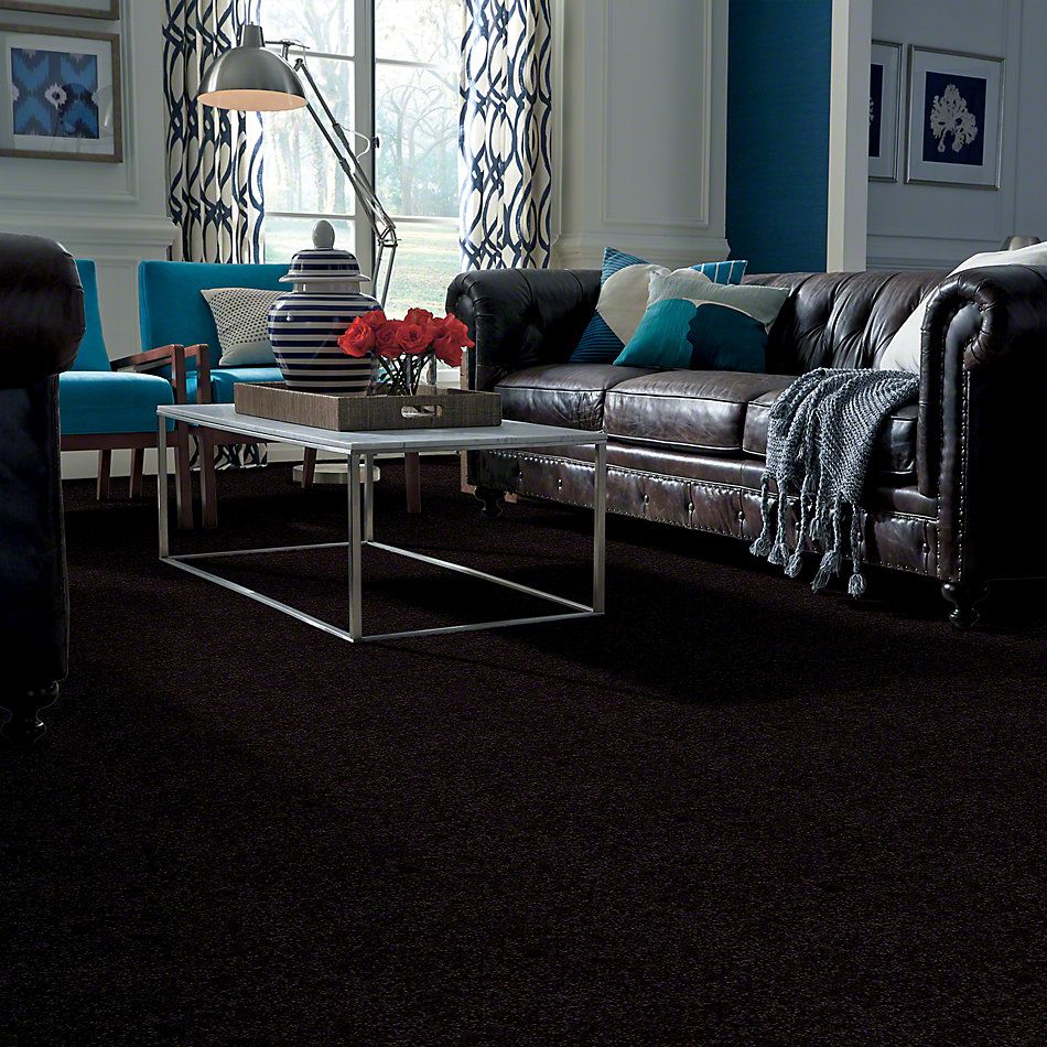 Shaw Floors Town Creek I 15′ Iron Ore 52V12_00503