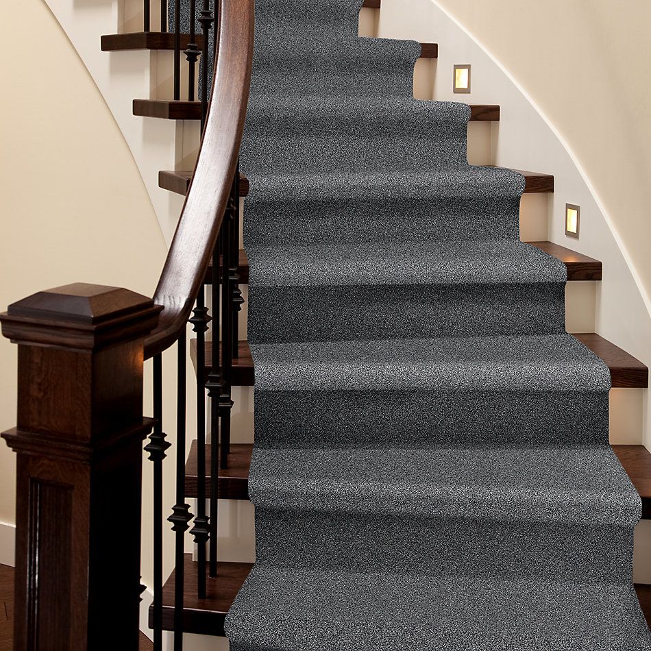 Shaw Floors Simply The Best Within Reach III Net Harbor Dock 00503_5E337