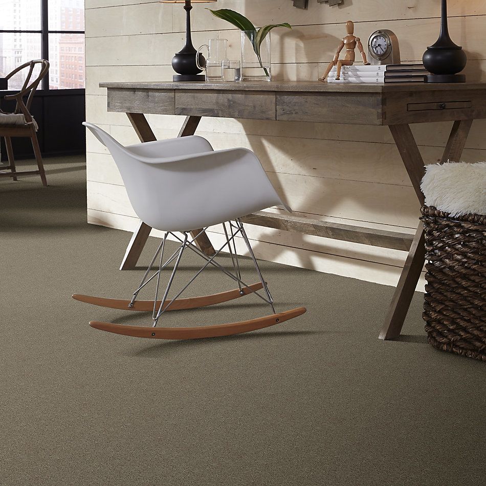 Shaw Floors Caress By Shaw Quiet Comfort Iv Arctic Frost 00503_CCB33