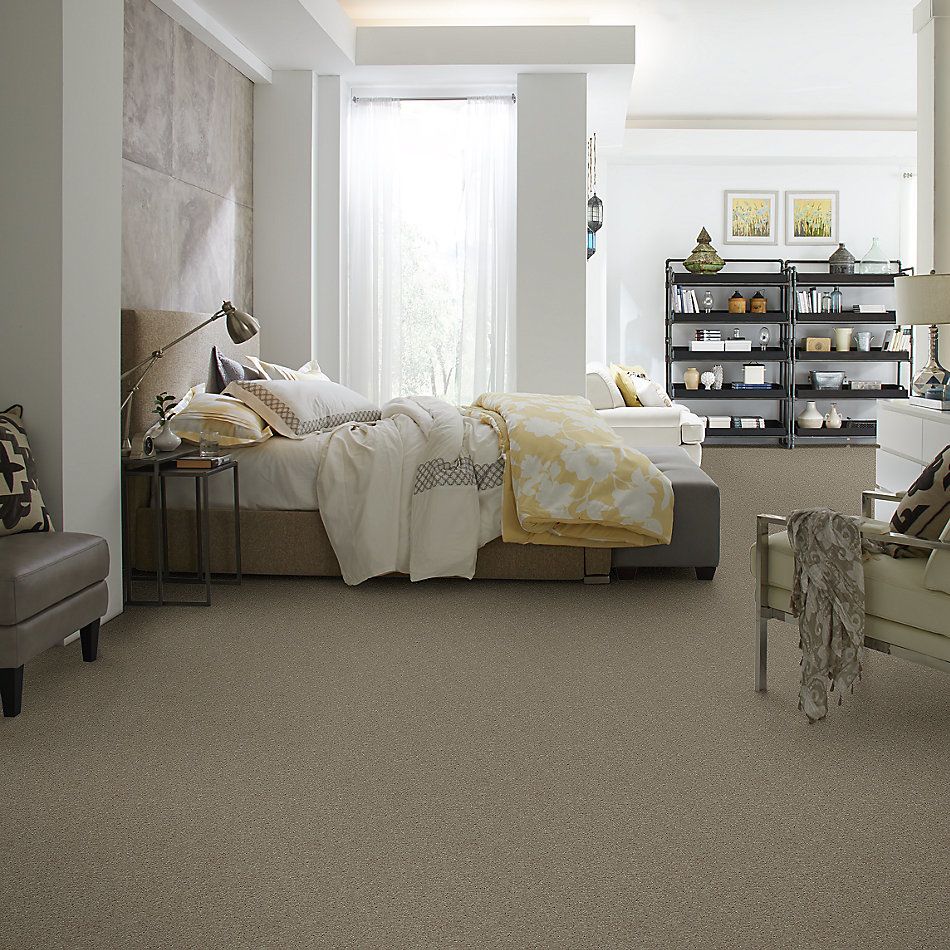 Shaw Floors Caress By Shaw Cashmere Iv Arctic Frost 00503_CCS04