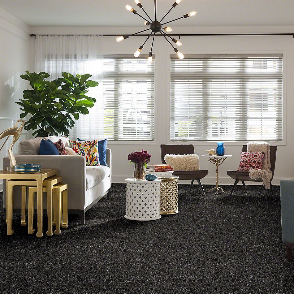 Shaw Floors Simply The Best Of Course We Can I 12′ Soot 00503_E9421