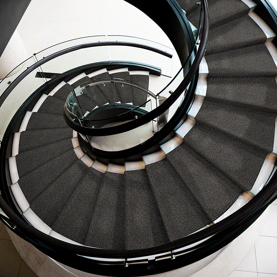 Shaw Floors Value Collections Of Course We Can III 12′ Net Soot 00503_E9441