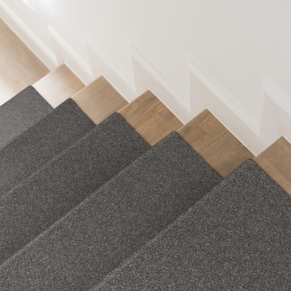 Shaw Floors Nfa Provisional II Granite 00503_NA519