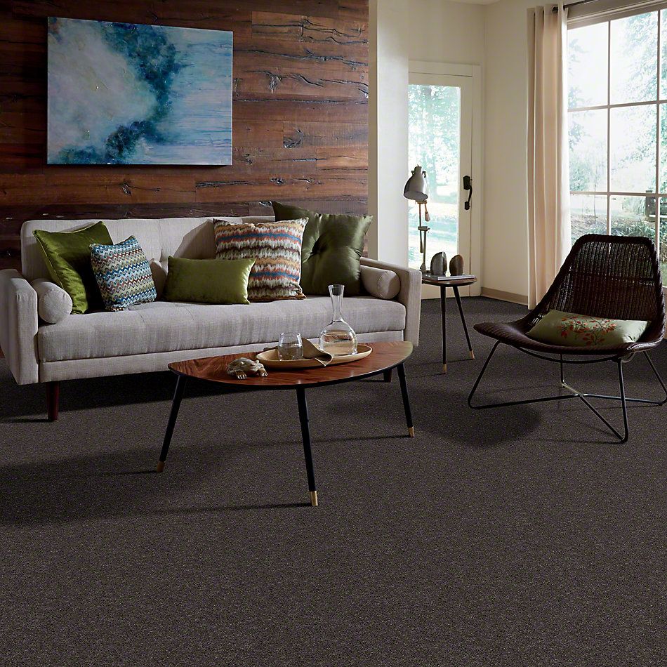 Shaw Floors Shaw Flooring Gallery Challenge Accepted II 15′ Charcoal 00504_5528G