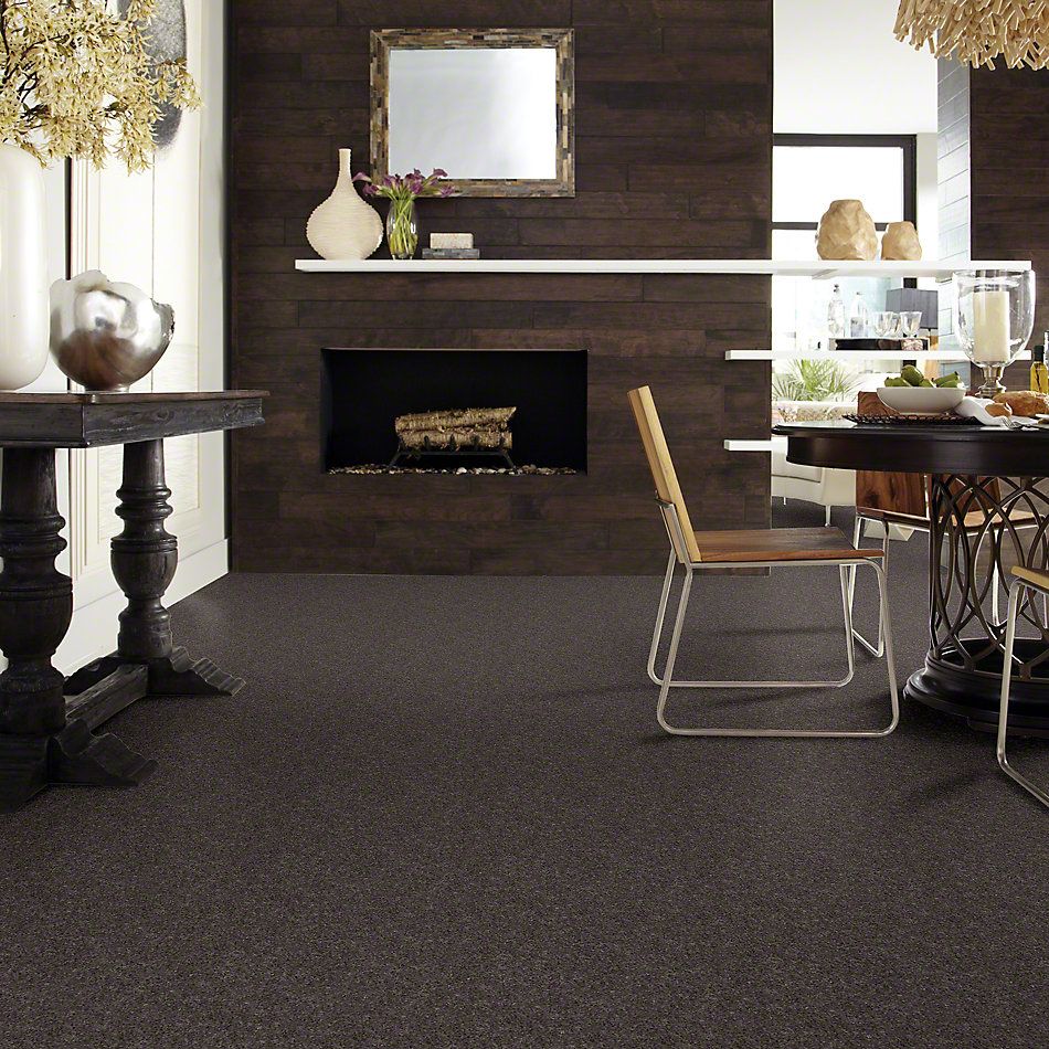 Shaw Floors Shaw Design Center Beautifully Simple II 15′ Charcoal 00504_5C752