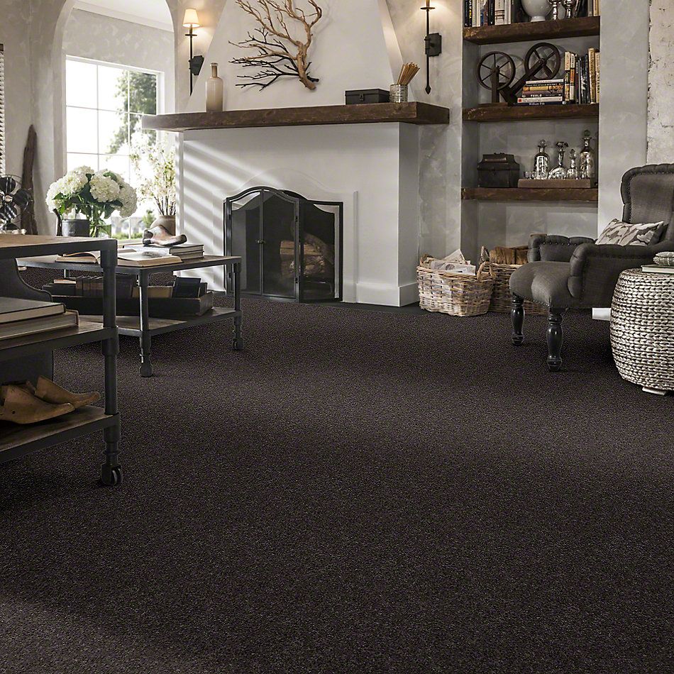 Shaw Floors Value Collections Well Played II 12′ Net Charcoal 00504_E0840