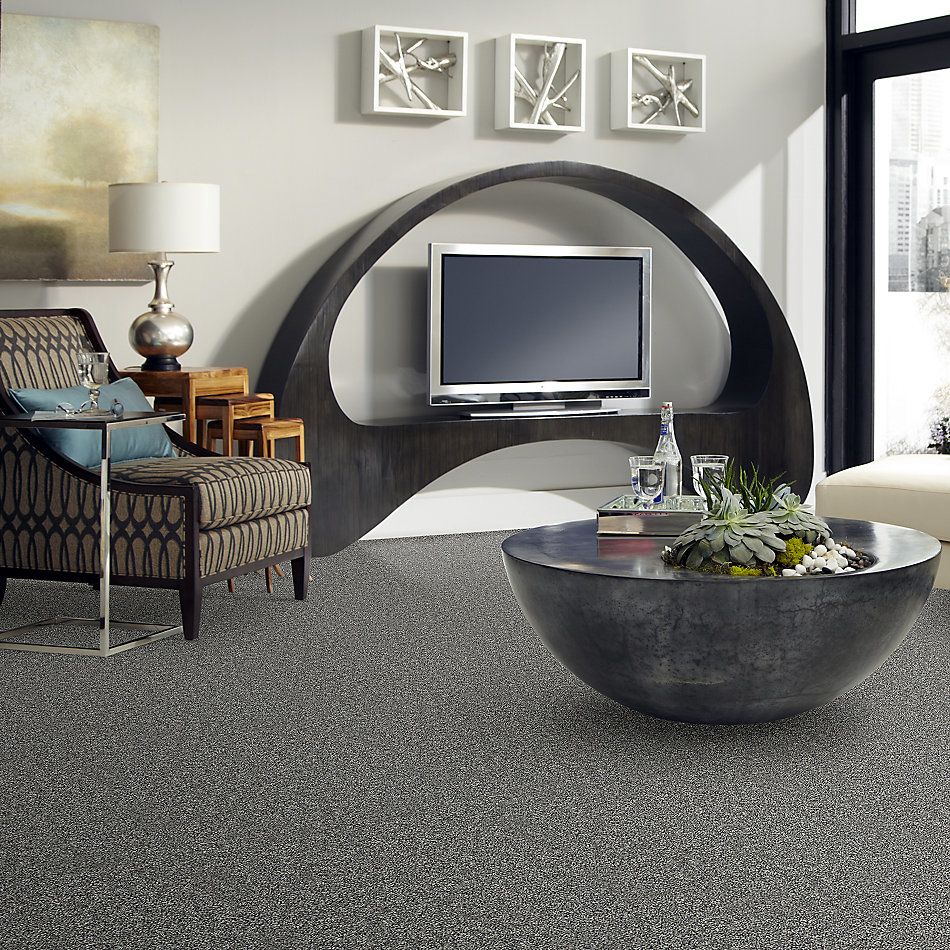 Shaw Floors Nfa You Got It II Sparrow 00504_NA241