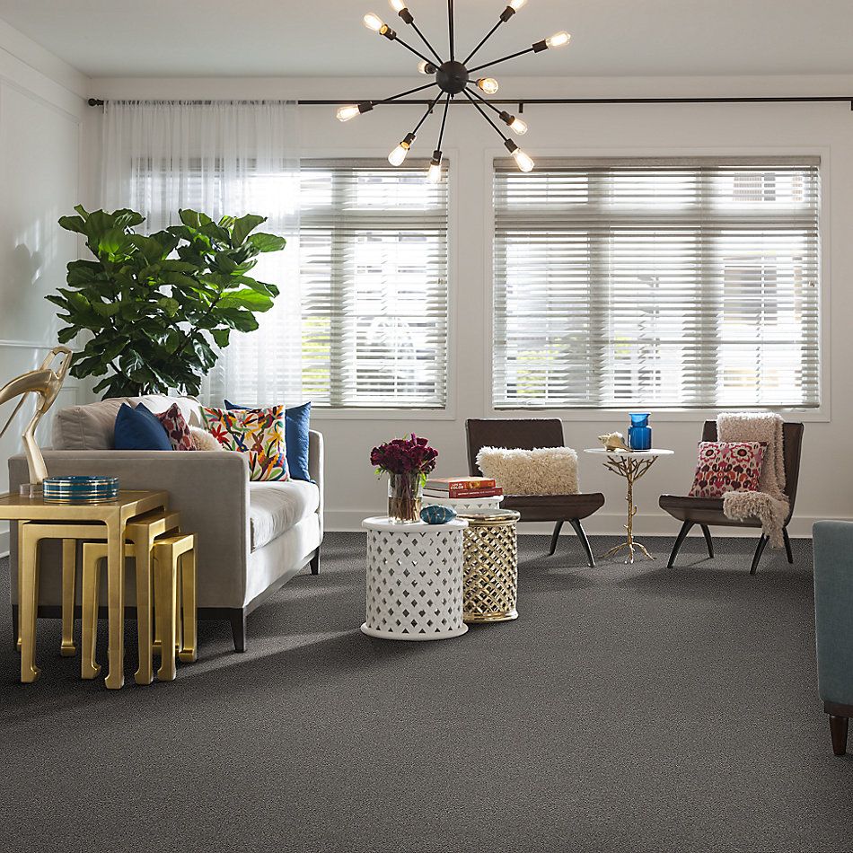 Shaw Floors Nfa Memorable III Grey Fox 00504_NA511