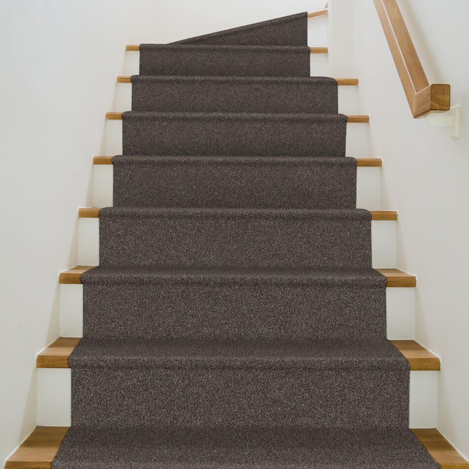 Shaw Floors Value Collections Xy196 Boulder 00504_XY196