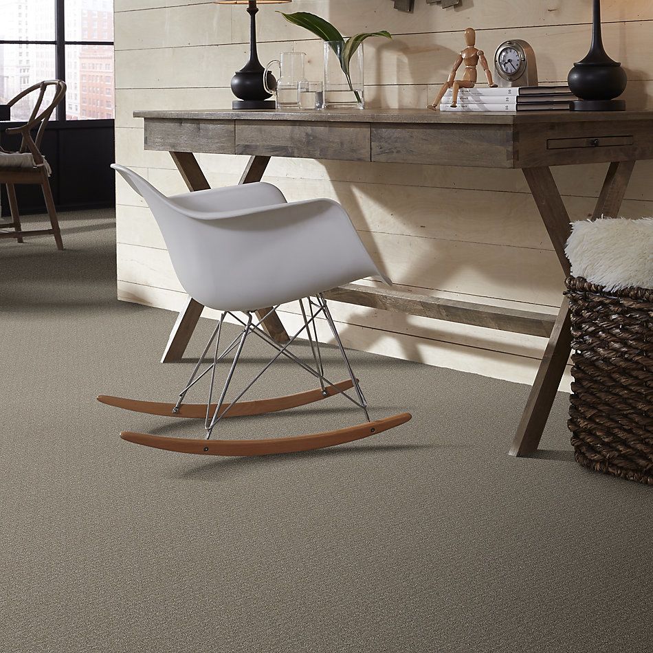 Shaw Floors Value Collections Transform Net Fossil 00505_5E351