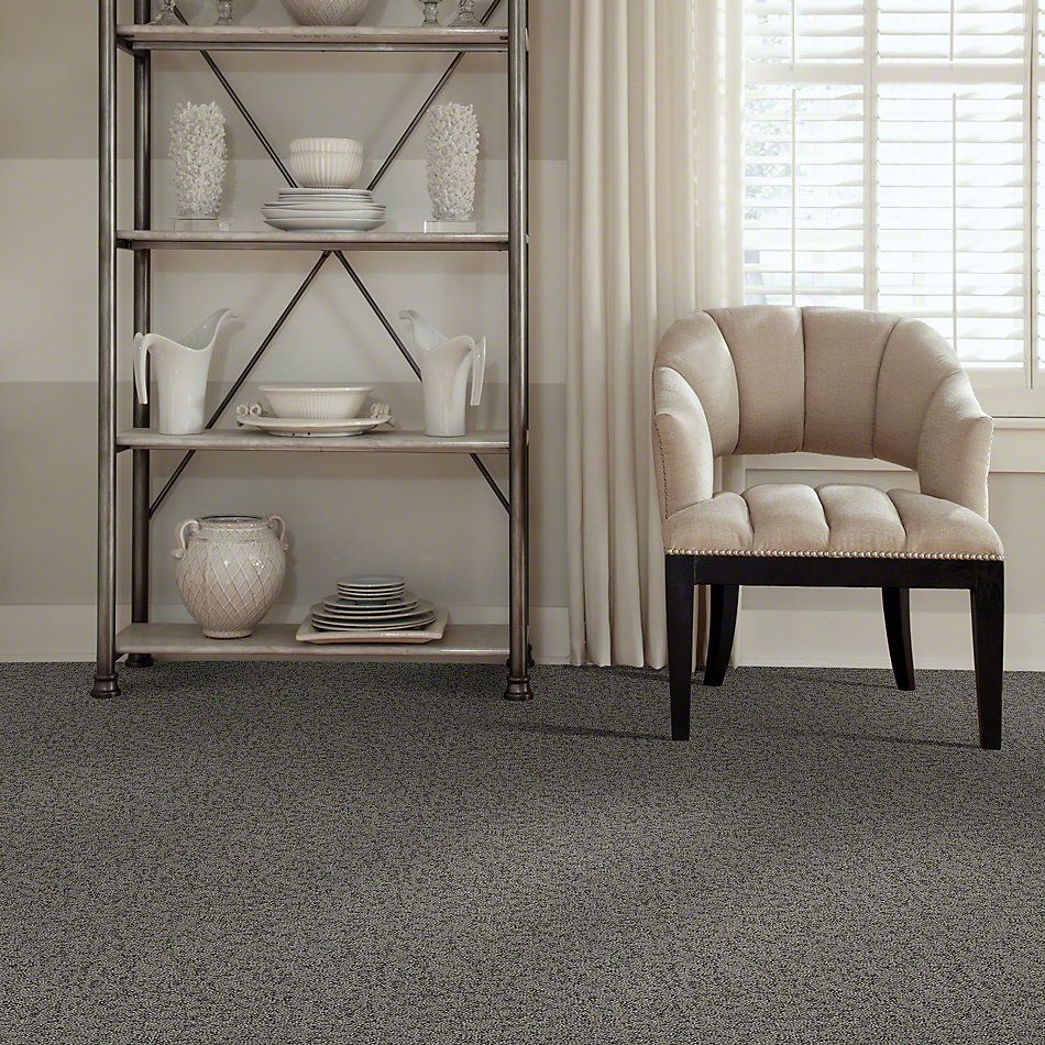 Shaw Floors Pet Perfect Plus Make Your Mark Truffle 00506_E9649