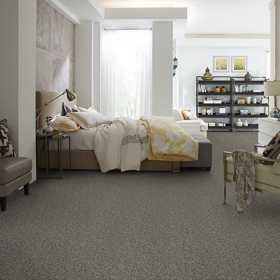 Shaw Floors Pet Perfect Plus Make Your Mark Truffle 00506_E9649