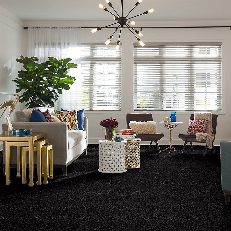 Shaw Floors Nfa/Apg Blended Trio Black Sheep 00508_NA133