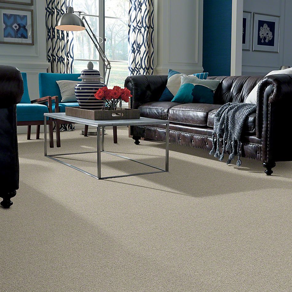Shaw Floors Shaw Flooring Gallery Embark Cold Water 00510_5506G