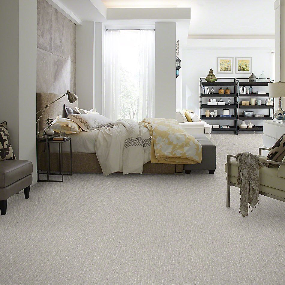 Shaw Floors Shaw Flooring Gallery Sunbrook Cold Water 00510_5575G