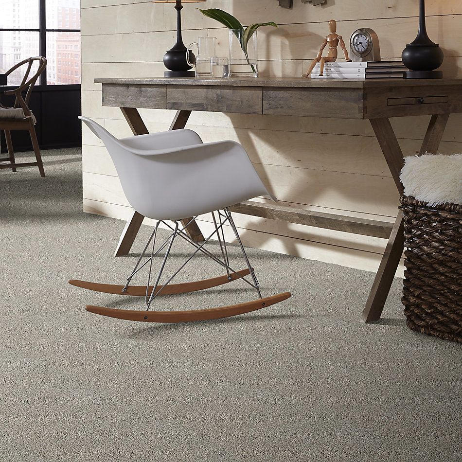 Shaw Floors Value Collections Poised Net Winter Birch 00510_5E102