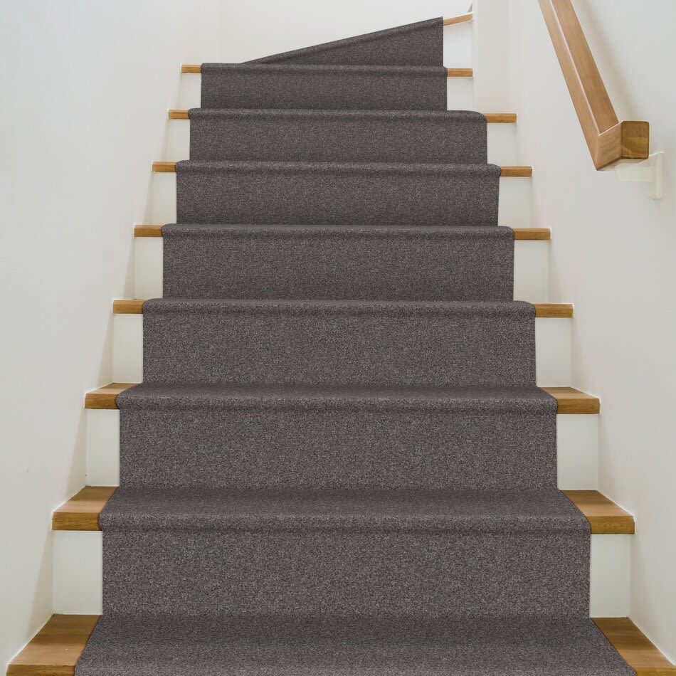 Shaw Floors Pet Perfect Grandiose Net Sentimental 00510_5E501