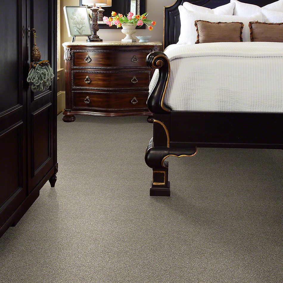 Shaw Floors Simply The Best All Over It I Net Misty Harbor 00510_E9890