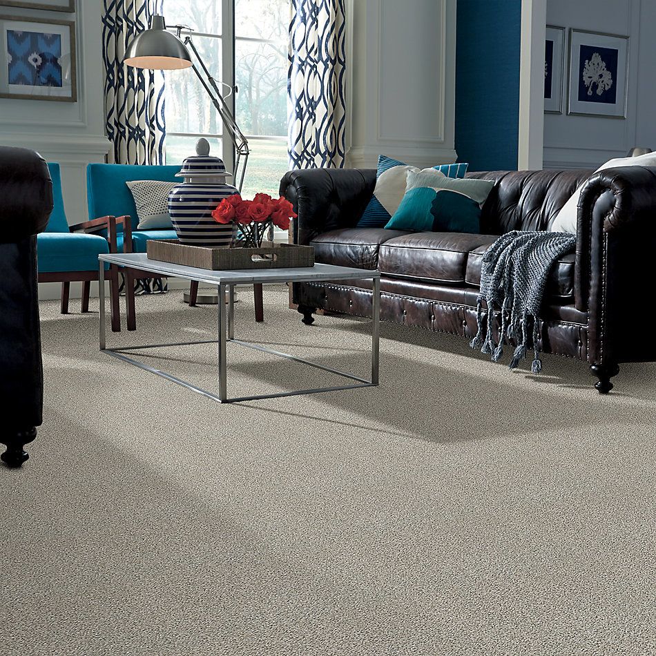 Shaw Floors Property Solutions Specified Spellbound Winter Birch 00510_PZ040