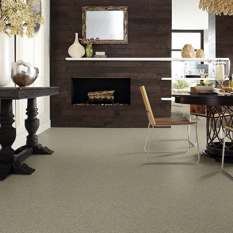 Shaw Floors Shaw Flooring Gallery Embark Gray Flannel 00511_5506G
