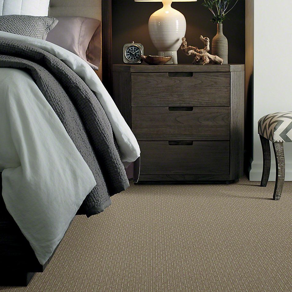 Shaw Floors Speed Of Light Gray Flannel 00511_E0528