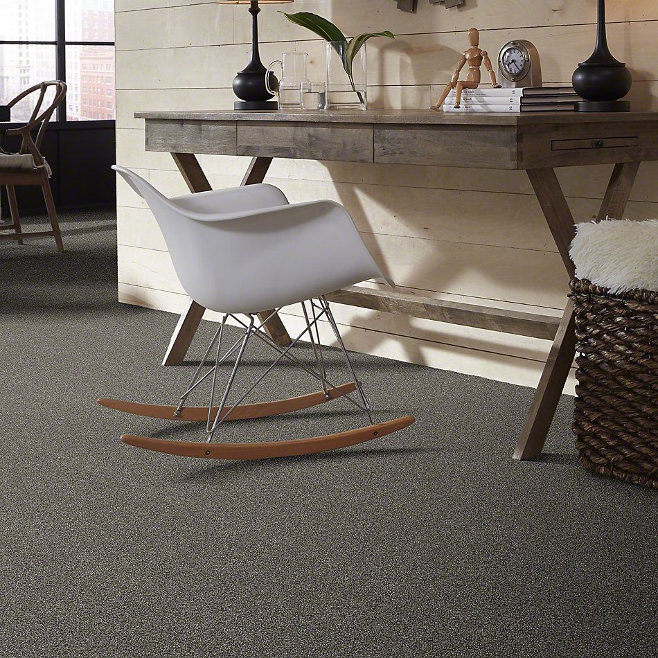 Shaw Floors Simply The Best Luminous Plaster 00511_E9494