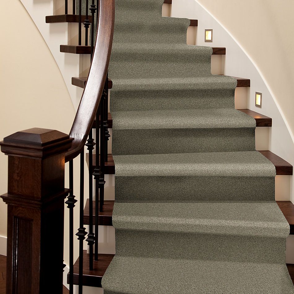 Shaw Floors Nfa/Apg Phenomenal Gray Flannel 00511_NA260