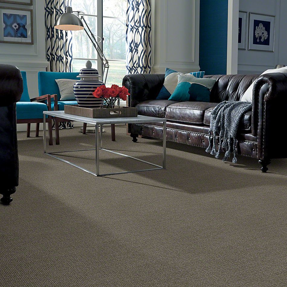 Shaw Floors Shaw Flooring Gallery Unleashed Pewter 00513_5514G