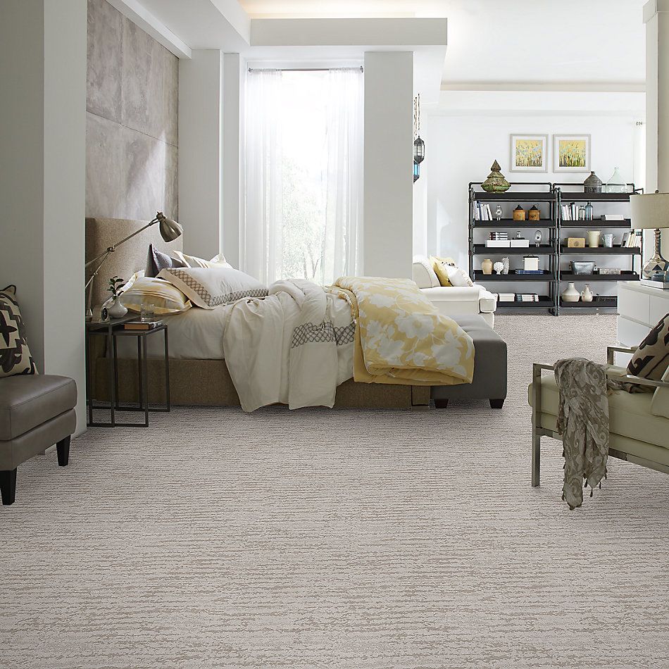 Shaw Floors Value Collections Winter Solace Net Minimal 00514_5E369