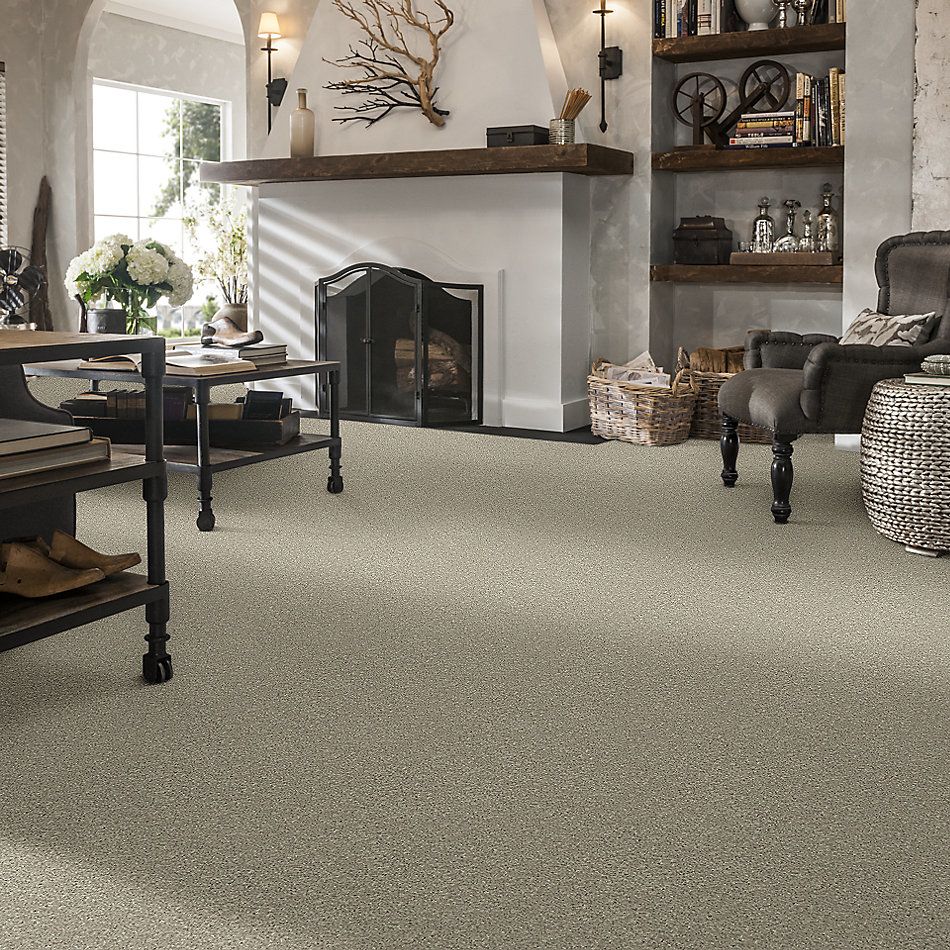 Anderson Tuftex Nfa/Apg Pure Style I Gray Whisper 00515_814AG