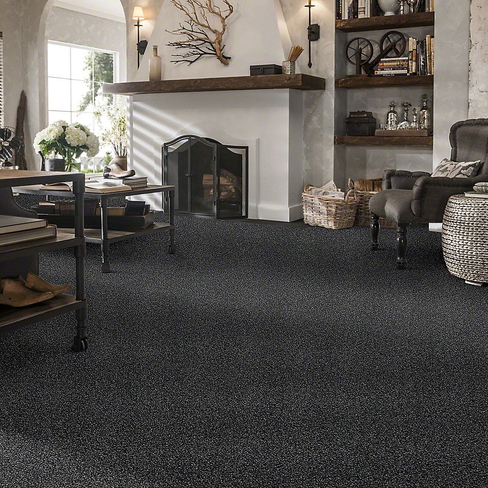 Shaw Floors Simply The Best Virtual Gloss Bison 00515_EA718