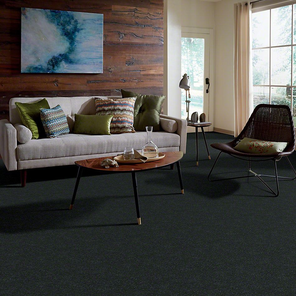 Shaw Floors Roll Special Xv436 Charcoal 00515_XV436