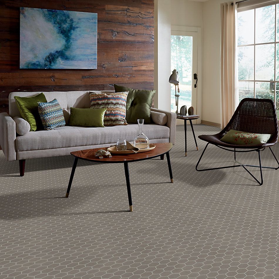 Shaw Floors Ceramic Solutions Coolidge Hex Taupe 00520_240TS