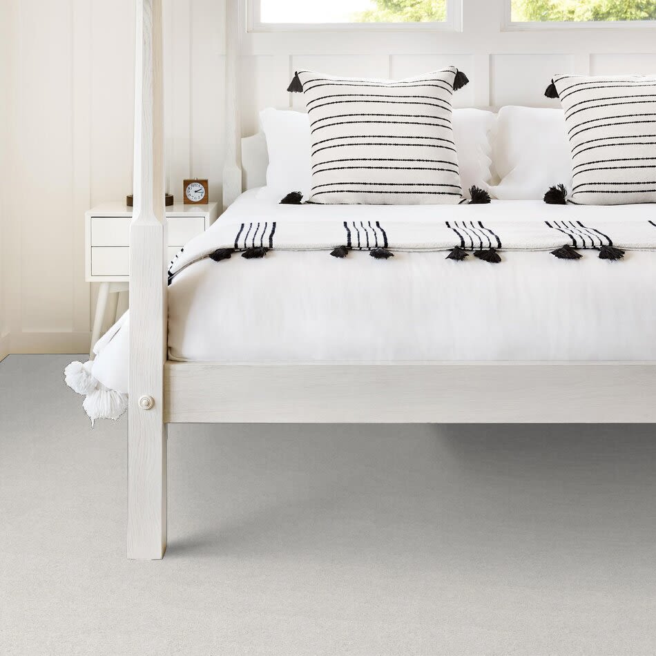 Shaw Floors Carpets Plus Value From Now On I Dolphin 00520_7B7Q6