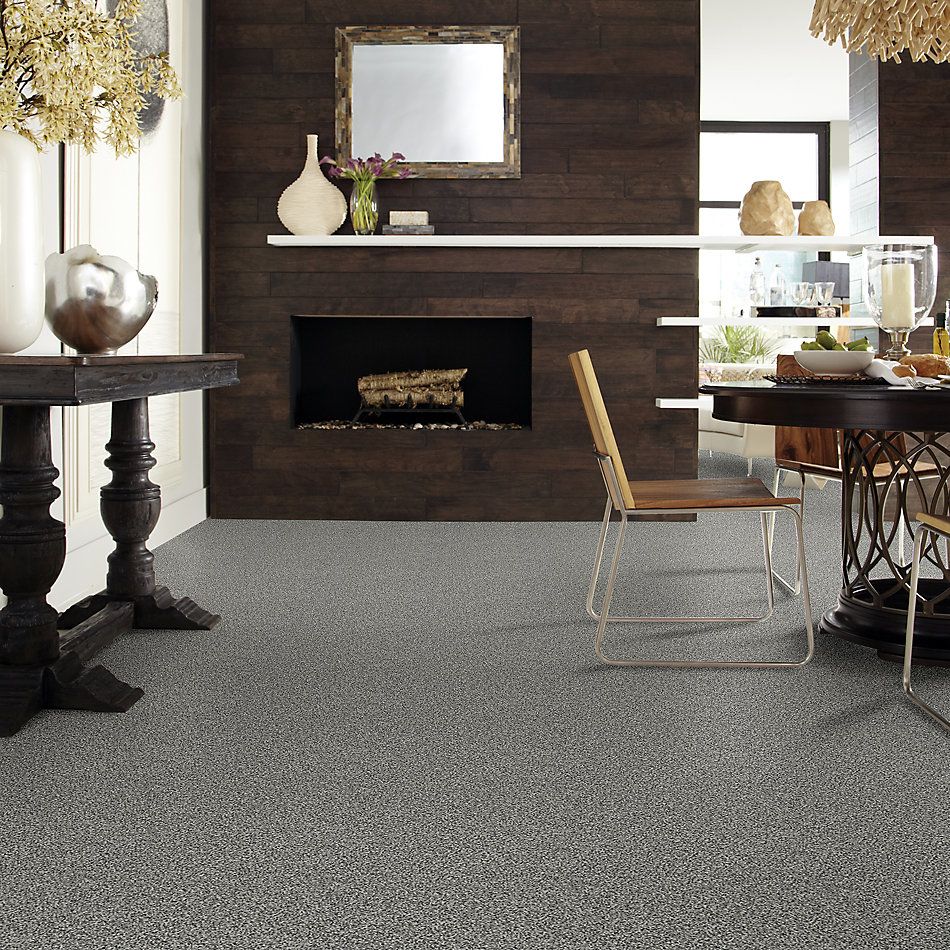 Shaw Floors Value Collections 300sl 15′ Net Anchor 00521_E9667