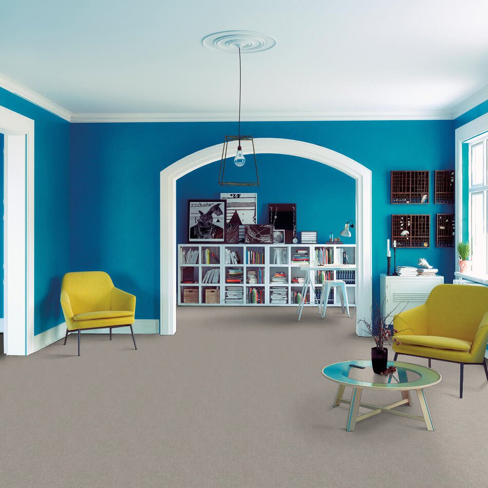 Shop Shaw Floors Lennar Homes Fairbain Weathered 00522_LR117 Carpet Atlanta Flooring Design