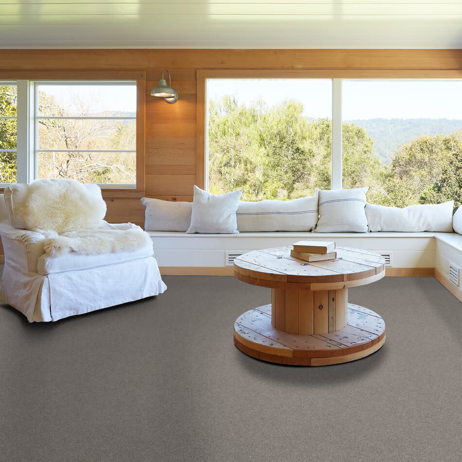 Shaw Floors Value Collections Cashmere Classic I Net Pacific 00524_E9922