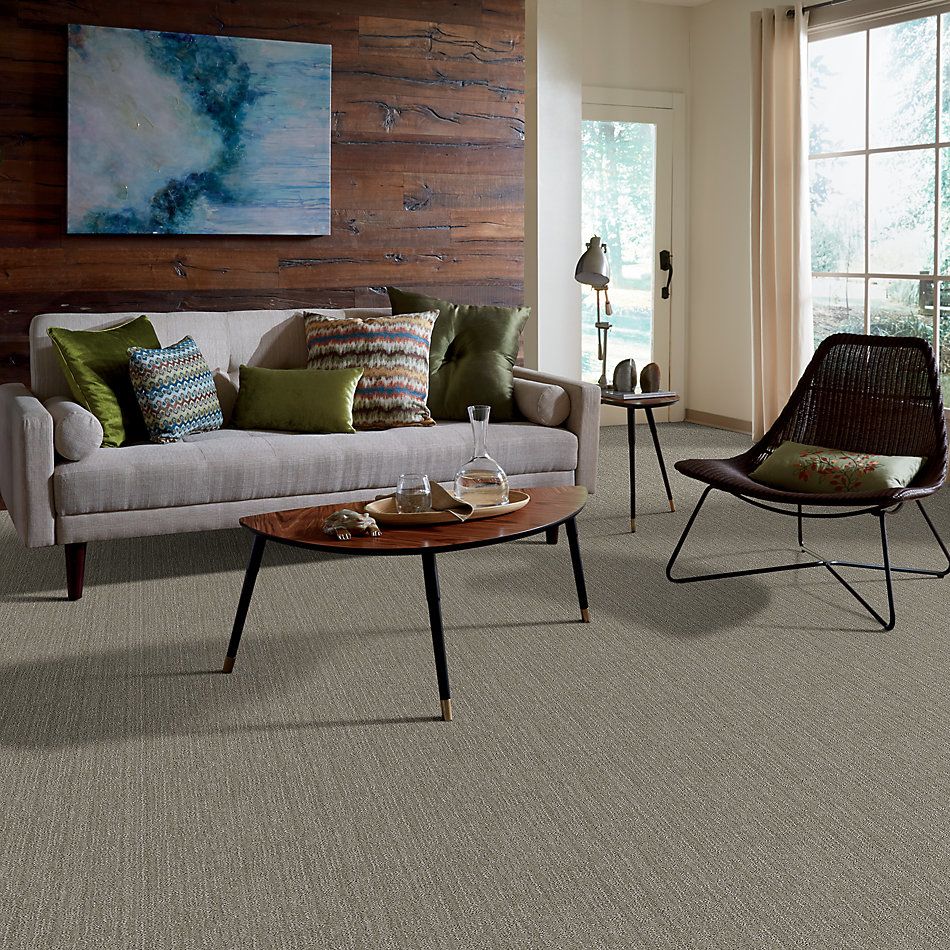 Anderson Tuftex Value Collections Ts366 Morning Fog 00525_TS366