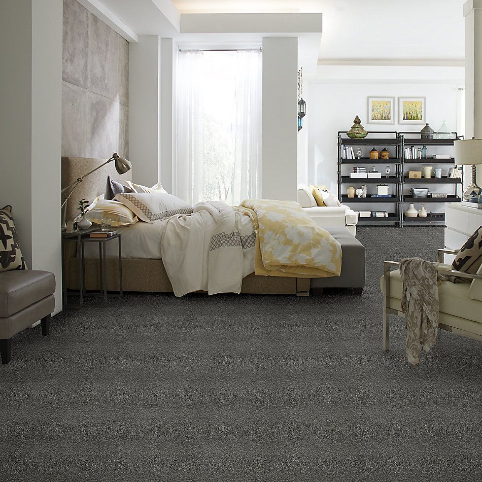 Shaw Floors Caress By Shaw Cashmere I Lg Onyx 00528_CC09B