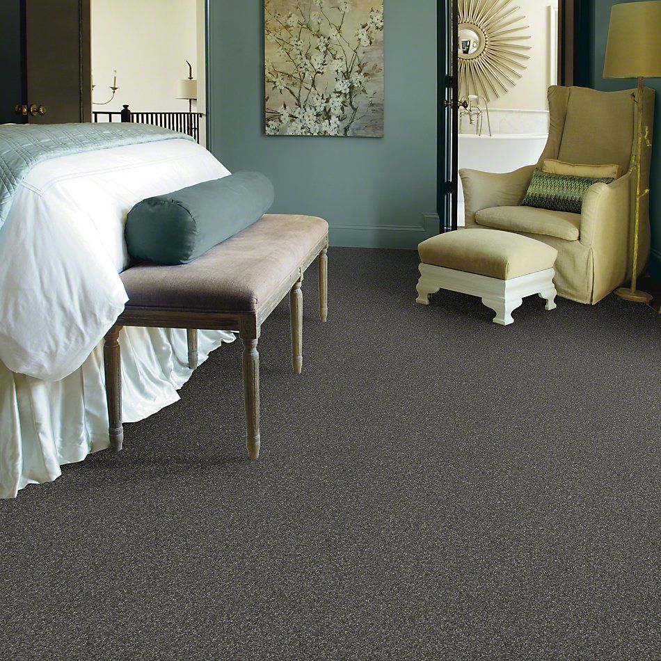 Shaw Floors Caress By Shaw Quiet Comfort Classic I Onyx 00528_CCB96