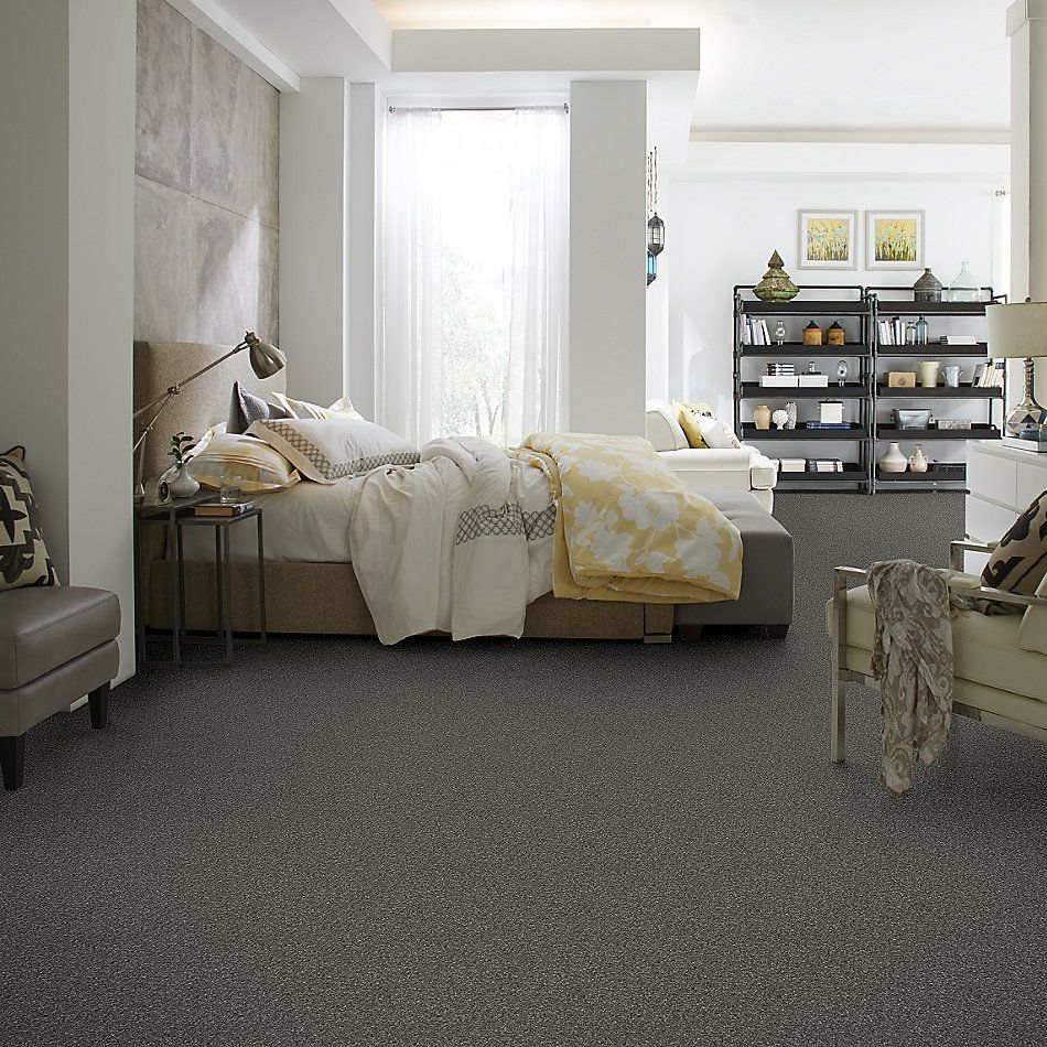 Shaw Floors Nfa/Apg Barracan Classic Iv Onyx 00528_NA077