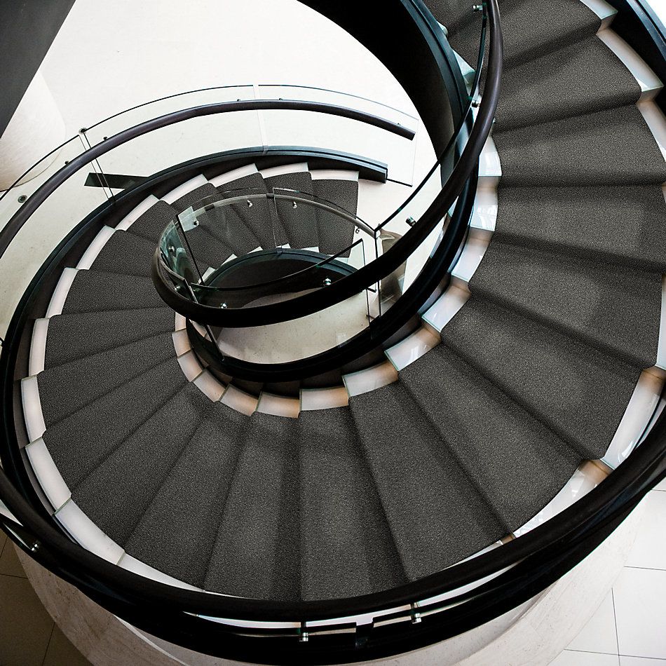 Shaw Floors Nfa/Apg Barracan Classic Iv Onyx 00528_NA077