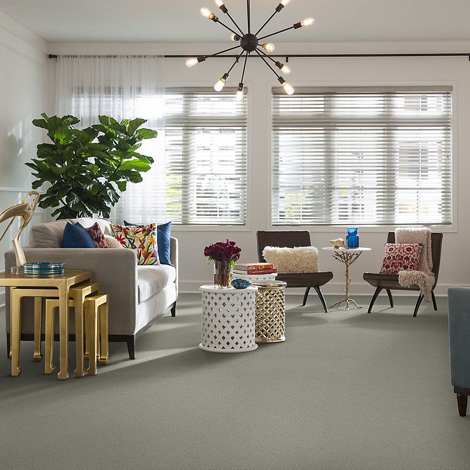 Shaw Floors Simply The Best Boundless Iv Net Reflection 00530_5E506
